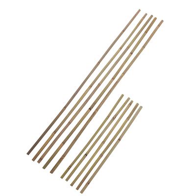 Imagen 2 del producto Set 5 tutores de bambú 120 cm