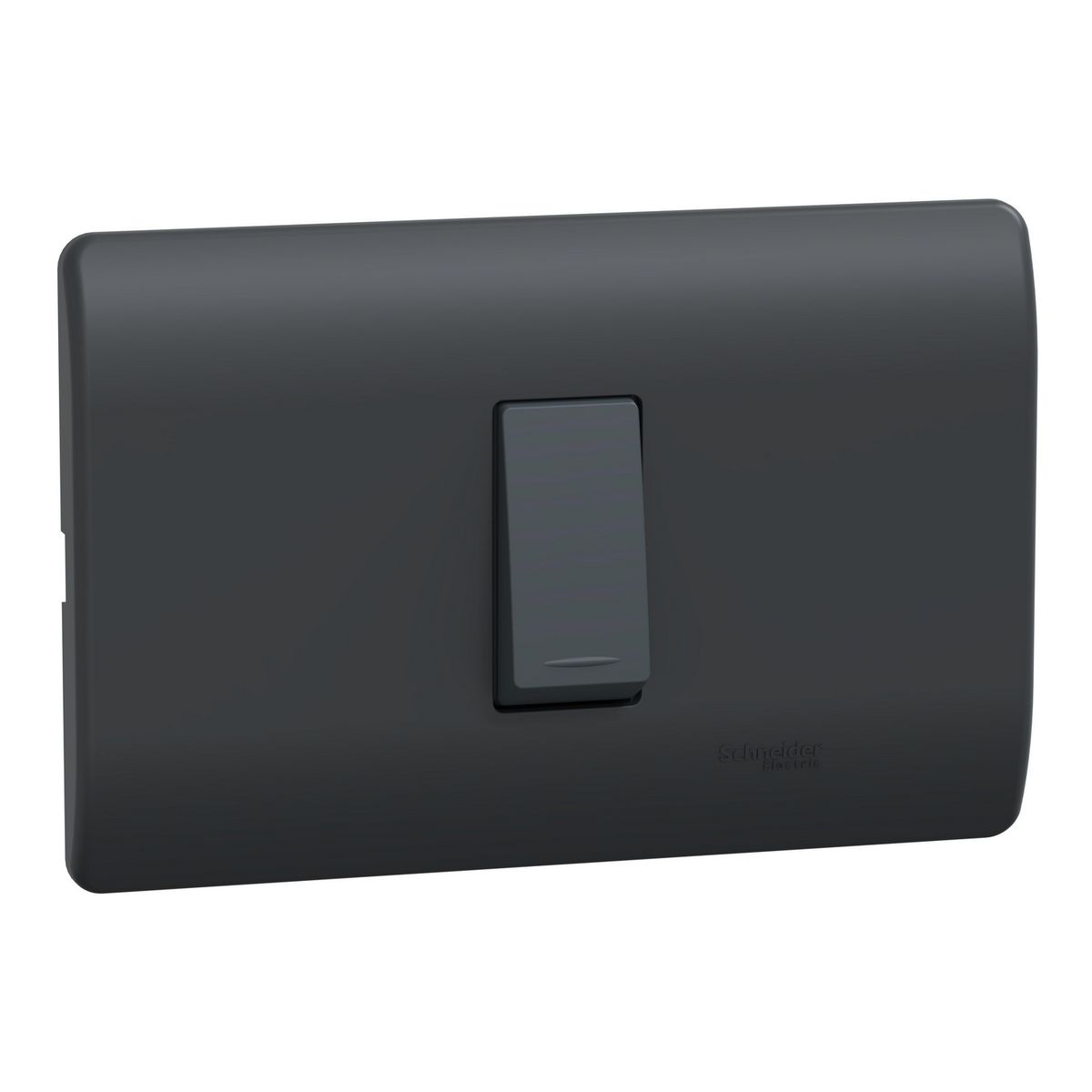 SCHNEIDER ELECTRIC - Placa Genesis Armada Con Interruptor 9/24 16Ax 250V - Black
