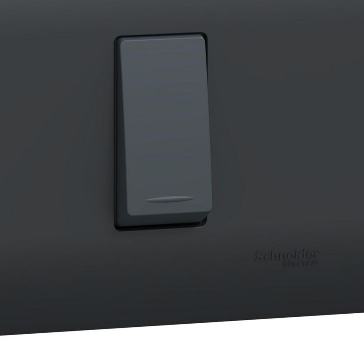 SCHNEIDER ELECTRIC - Placa Genesis Armada Con Interruptor 9/24 16Ax 250V - Black