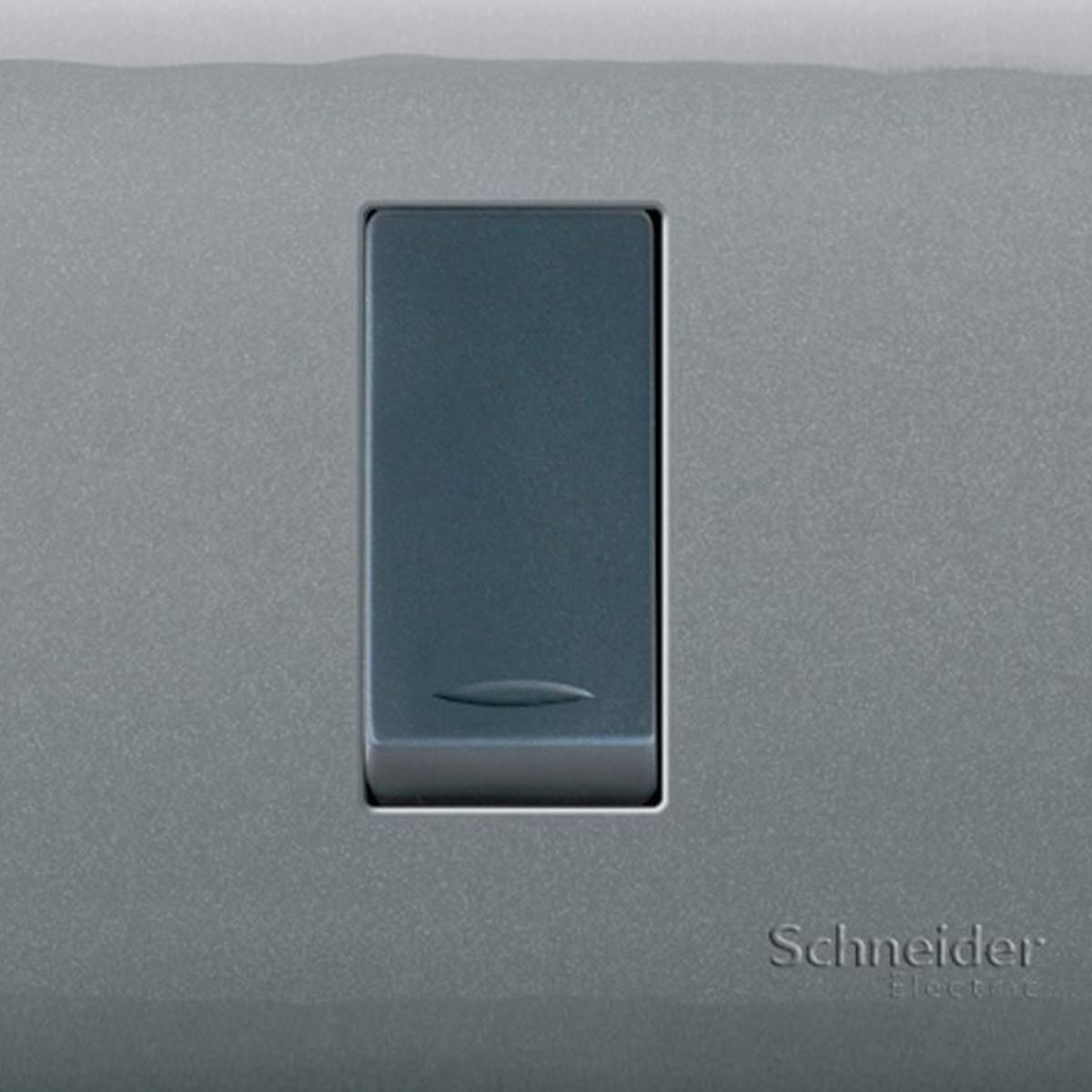 SCHNEIDER ELECTRIC - Placa Genesis Armada Con Interruptor 9/12 16A 250V - Humo