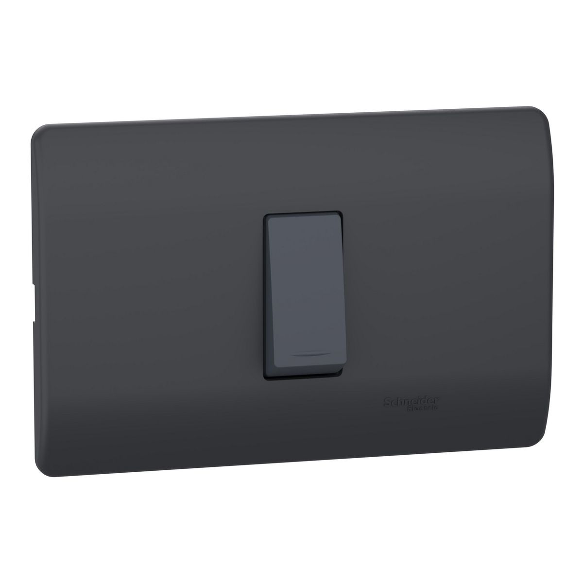 SCHNEIDER ELECTRIC - Placa Genesis Armada Con Interruptor 9/12 16Ax 250V - Black
