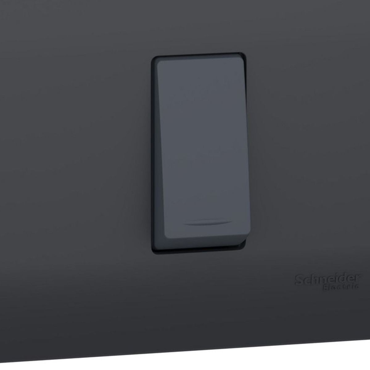 SCHNEIDER ELECTRIC - Placa Genesis Armada Con Interruptor 9/12 16Ax 250V - Black