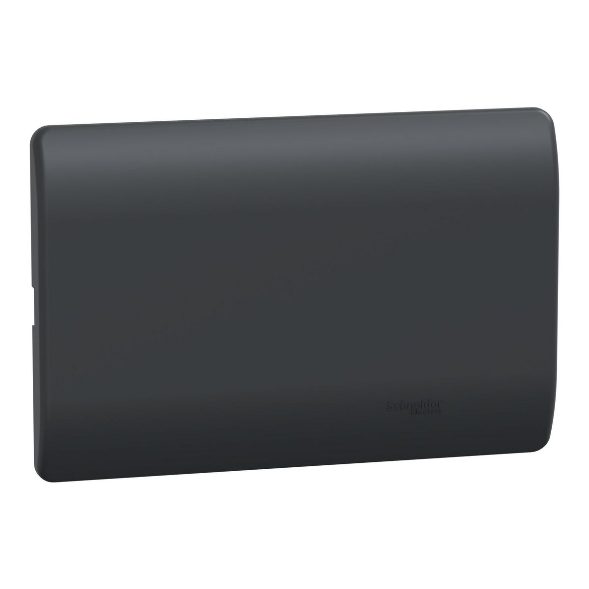 SCHNEIDER ELECTRIC - Placa Genesis Ciega Con Soporte - Black