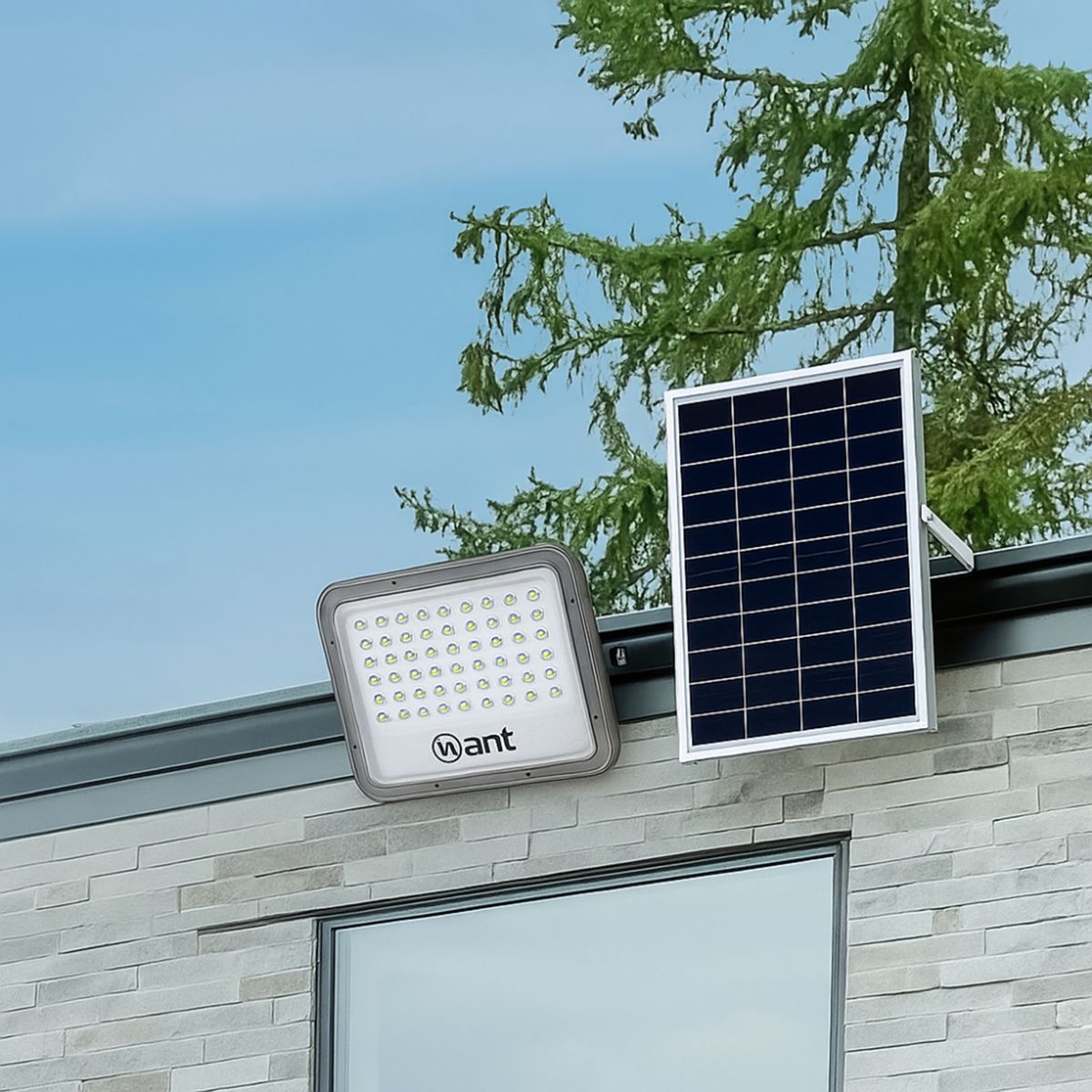 WANT - Proyector Solar IP 65 3100 lm Luz Multicolor