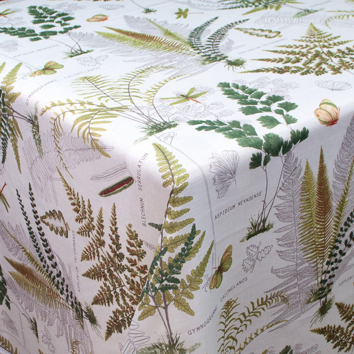 MERIGGI - Mantel Rectangular 155x155 cm Botanica Blanco