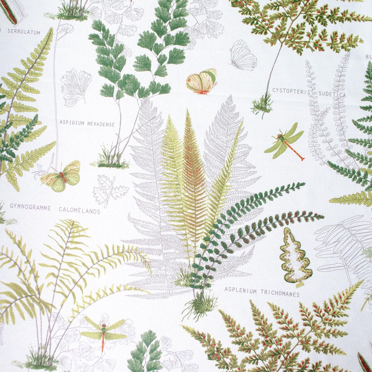 MERIGGI - Mantel Cuadrada 155x155 cm Botanica Blanco