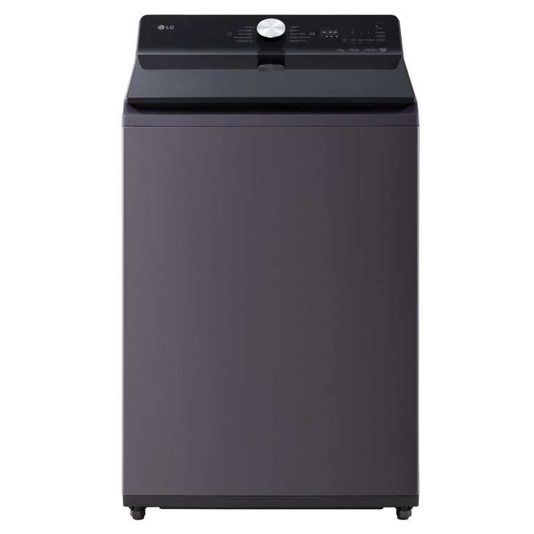 Lavadora Carga Superior 25 kg Negro WT25EGTX6