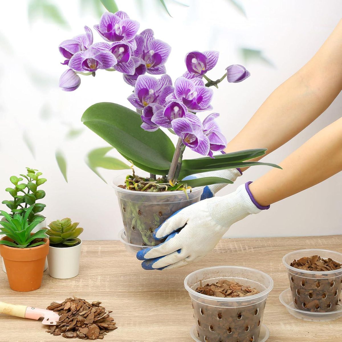 SOHOGAR - Macetero Plástico Con Orificios Especial Para Orquideas 11*15Cm de Plástico 15x25 Transparente