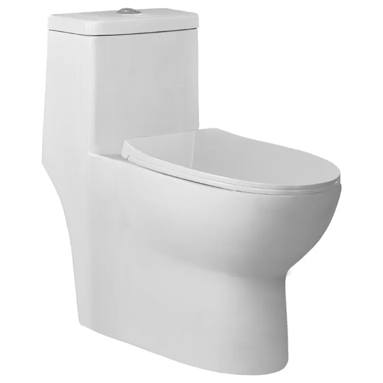 Sanitario One piece One piece a Piso 30,5 cm 6 Litros OP NOSTRO BLANCO