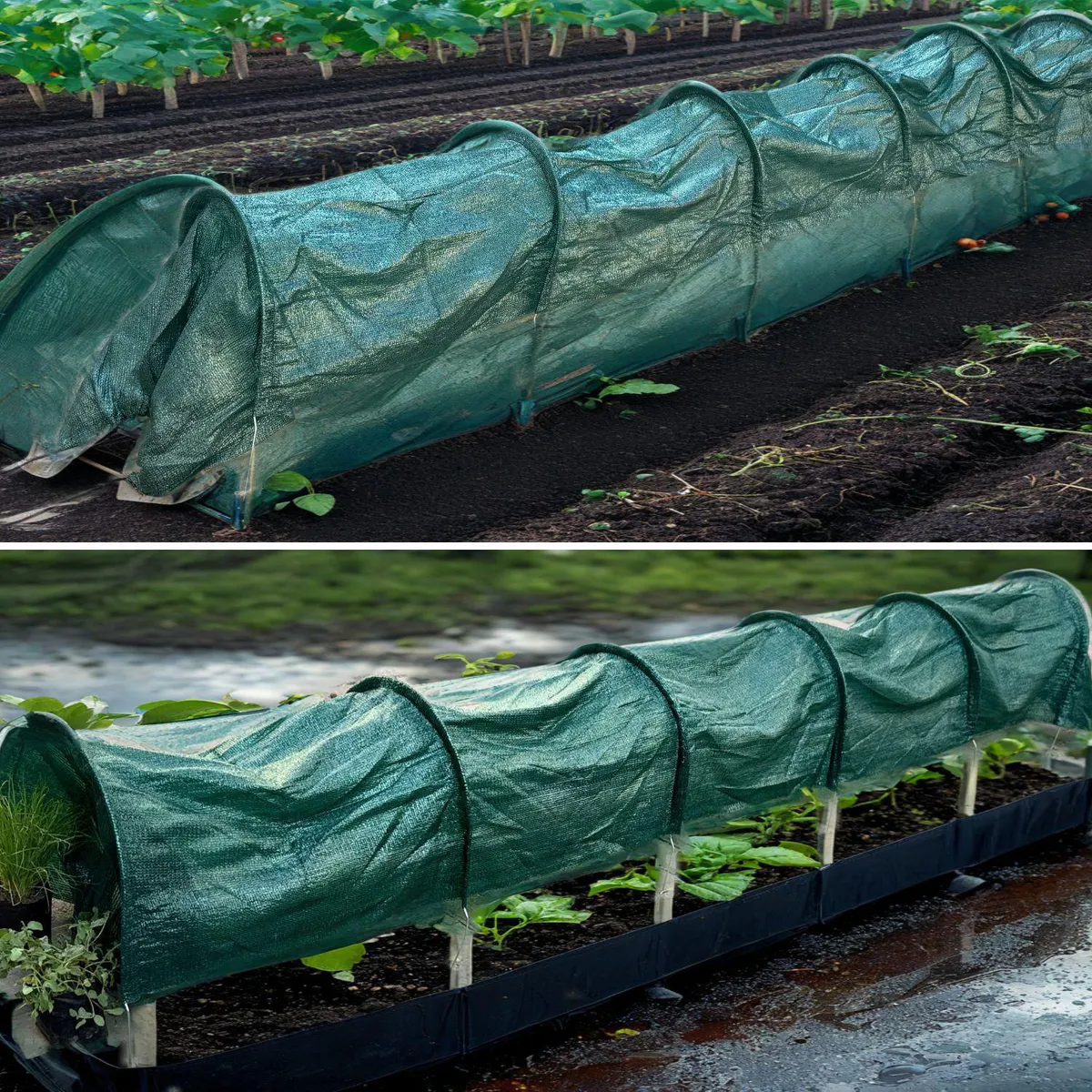 POTTERY - Tunel Protector Cultivo 3 m