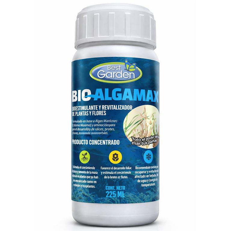 Fertilizante concentrado en base a alga Ecklonia Maxima