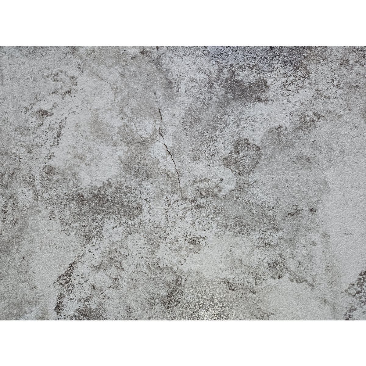 COIMSA - Wall Panel Piedra Polar 244x122 cm Piedra 