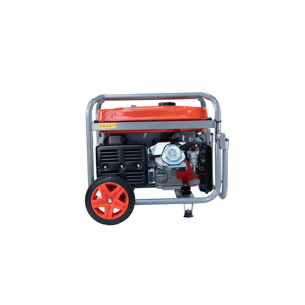 Equipoly EG6550E Gasolina, foto 4