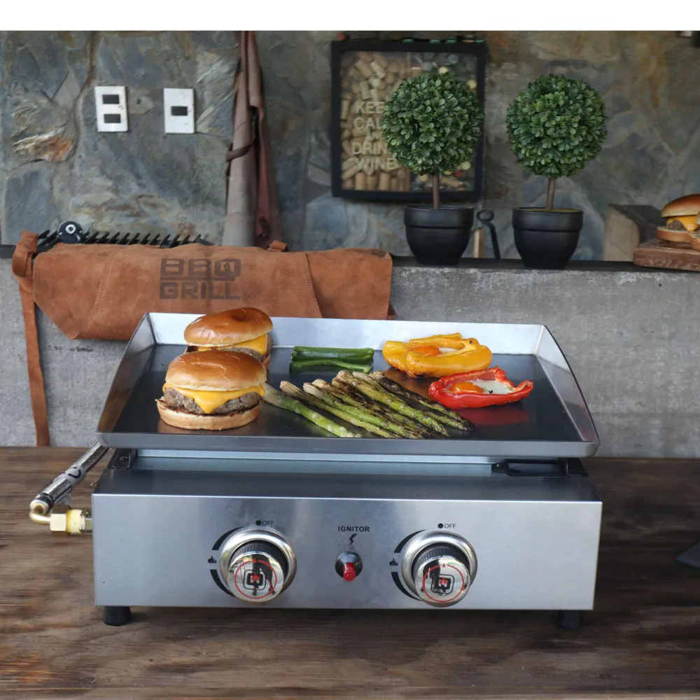 Bbq Grill Plancha a Gas 2 Quemadores, foto 3