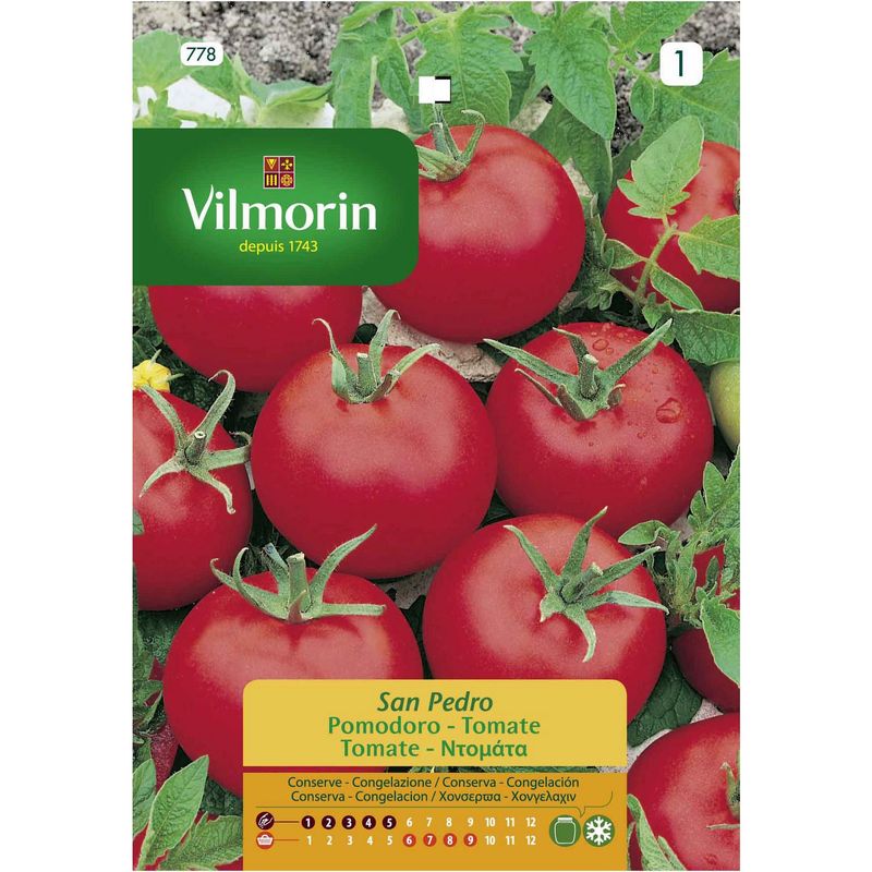 VILMORIN - Semilla tomate san Pedro 1 gr sachet