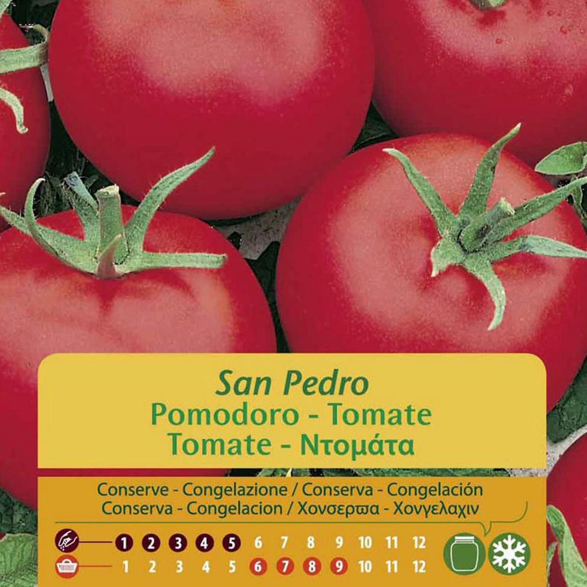 VILMORIN - Semilla Tomate San Pedro 1 gr Sachet