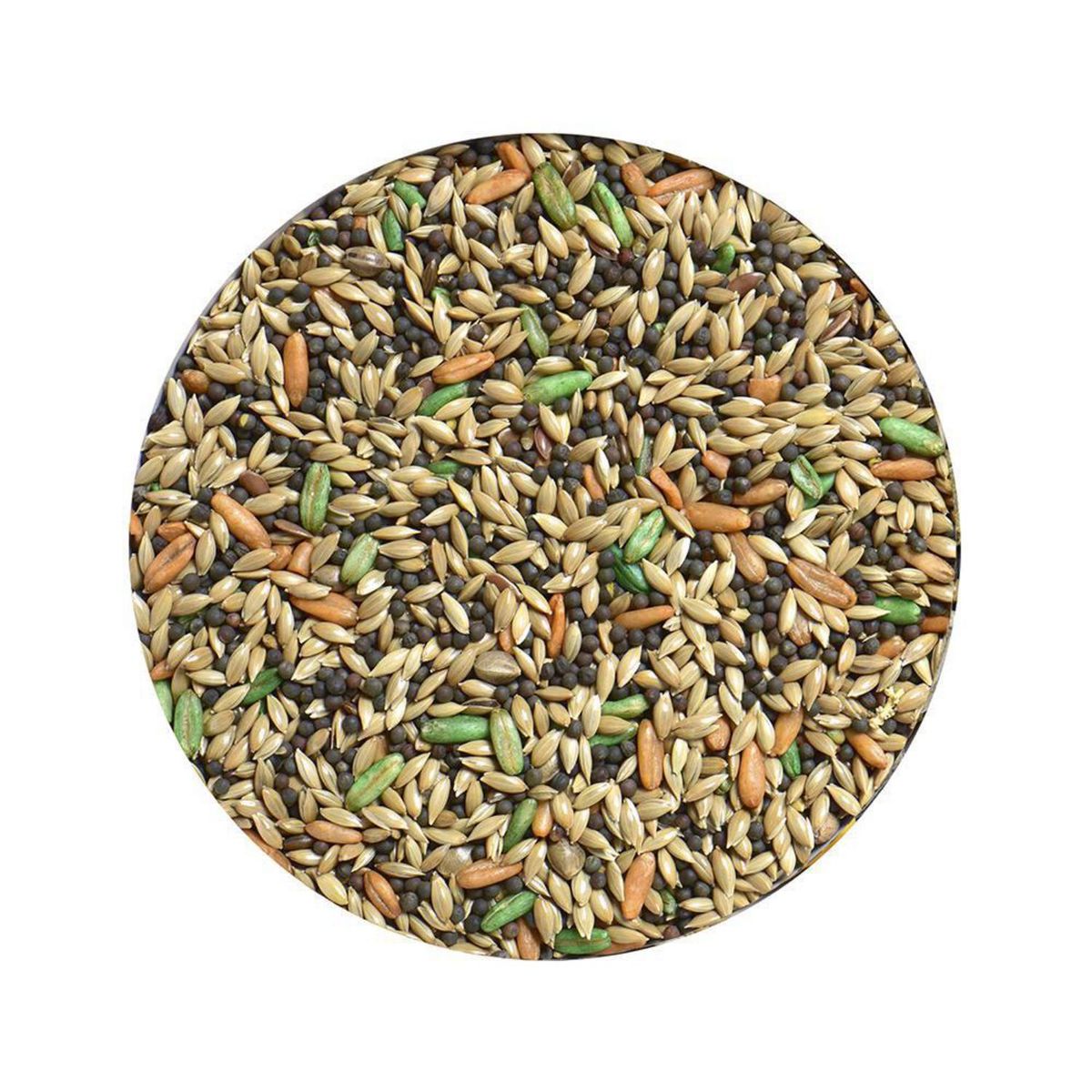 CHAMPION MINI PETS - Alimento para Ave Todas las edades Variadas Semillas 0.5 kg