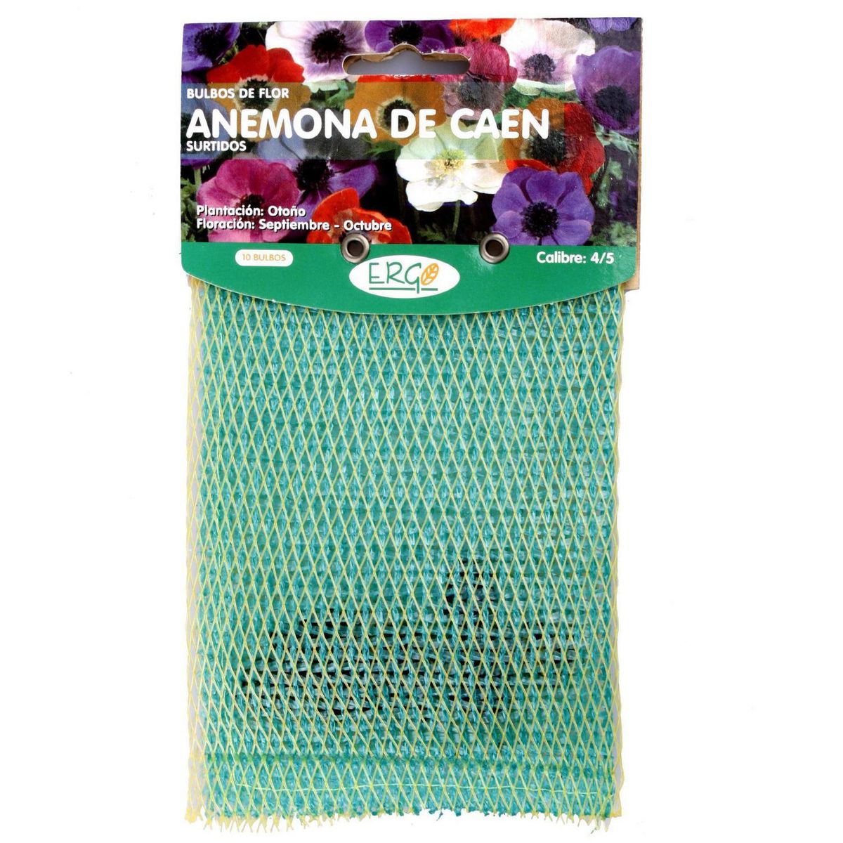 ERGO - Bulbo anémona surtido 10 unidades