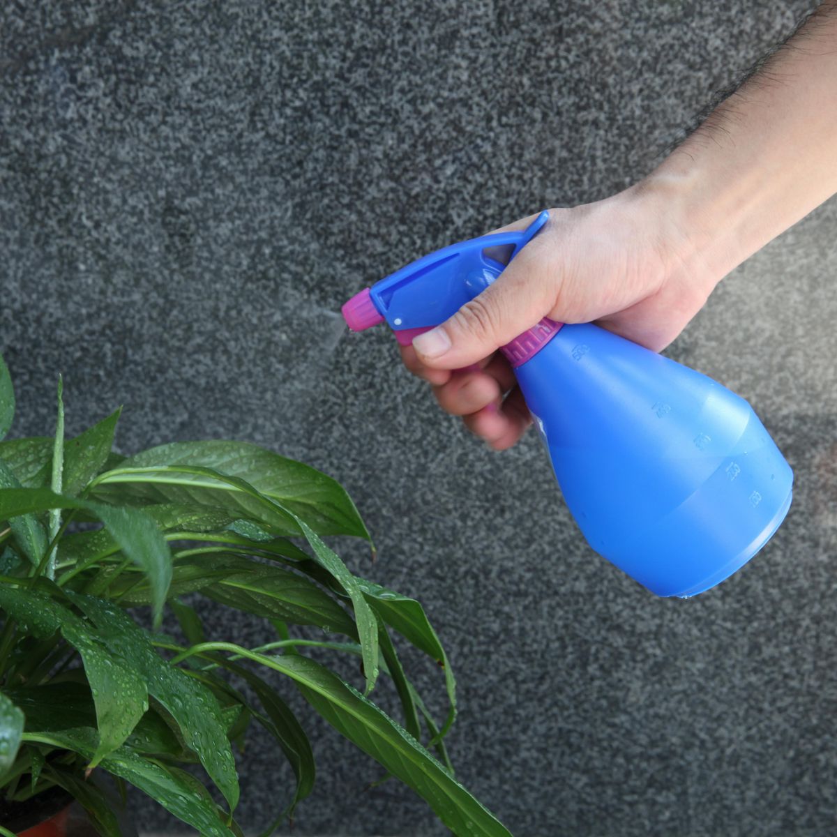 ERGO - Pulverizador manual 500 ml