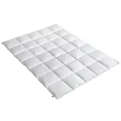 JUST HOME COLLECTION - Plumón Blanco 40% Pluma Pecho