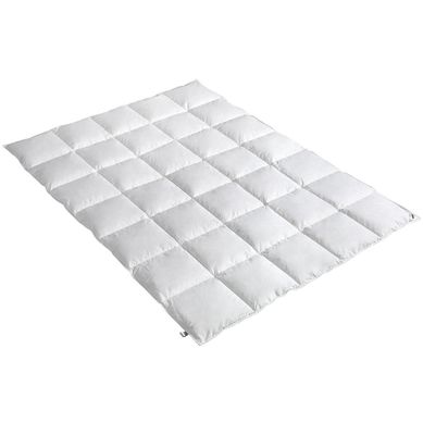 Plumn pluma blanco 40% king