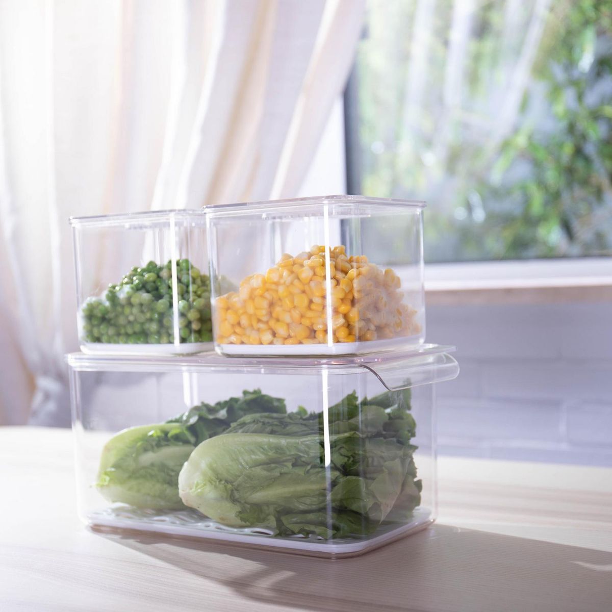 JUST HOME COLLECTION - Set 3 contenedores Transparente