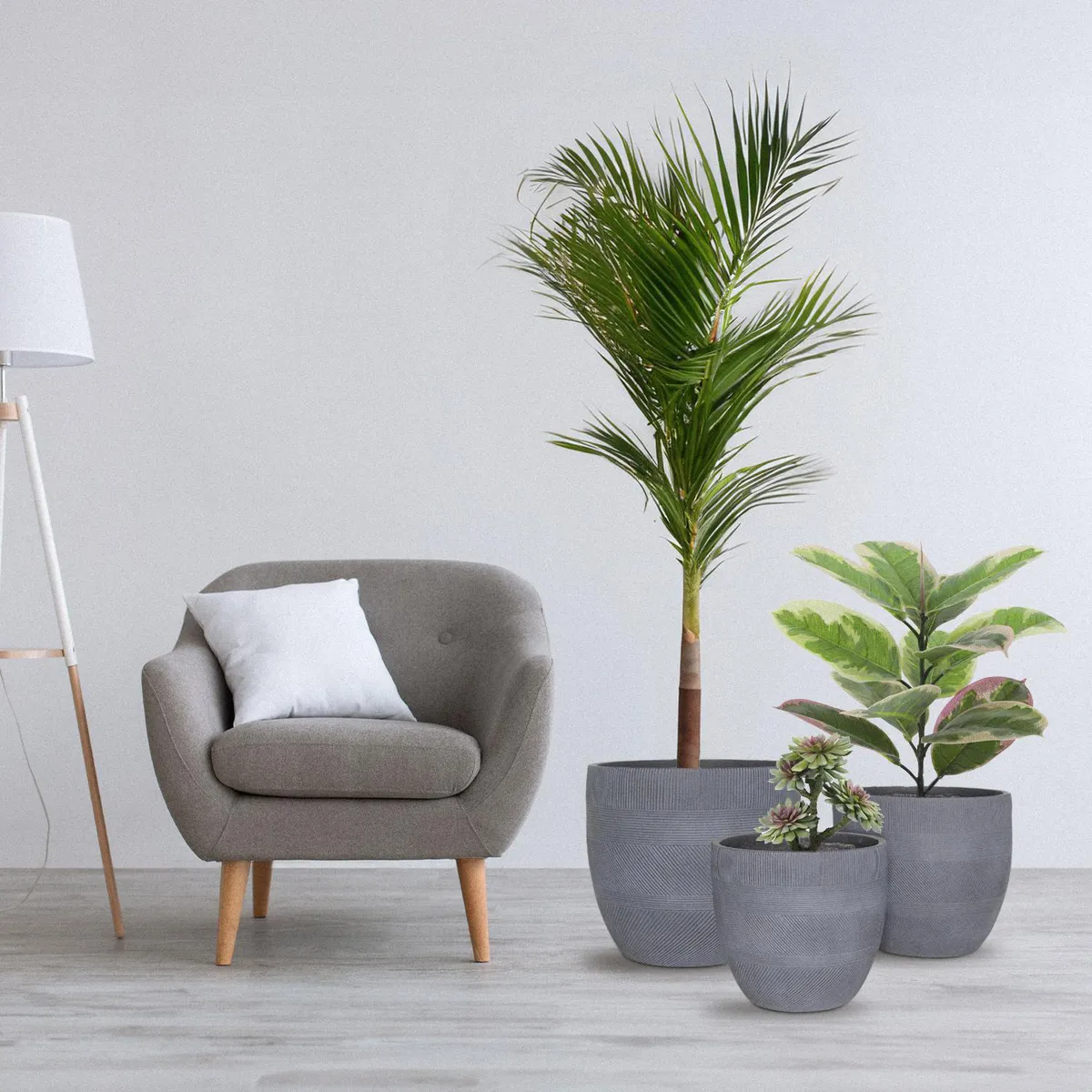 JUST HOME COLLECTION - Macetero Viena