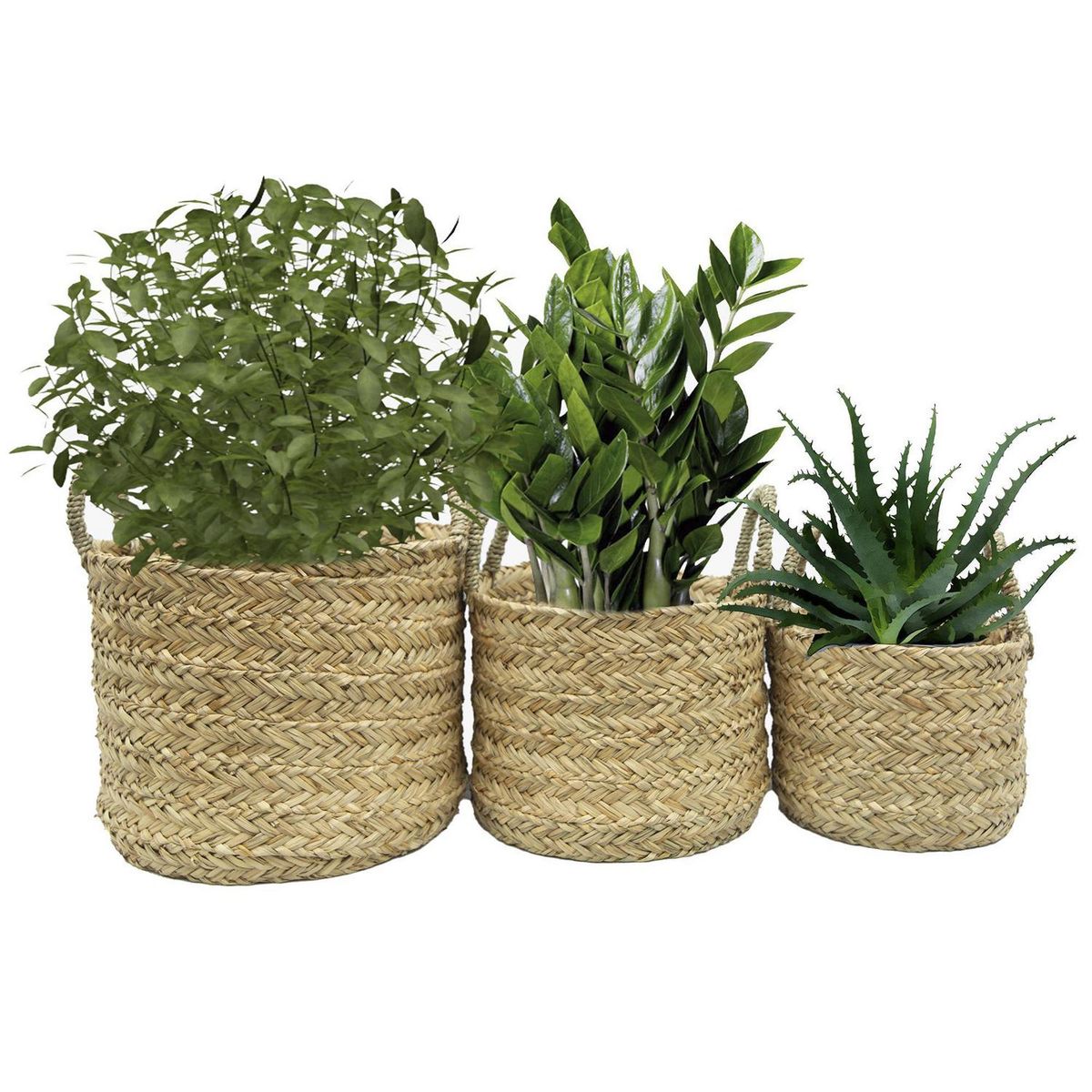 JUST HOME COLLECTION - Set 3 Canastos Quilca