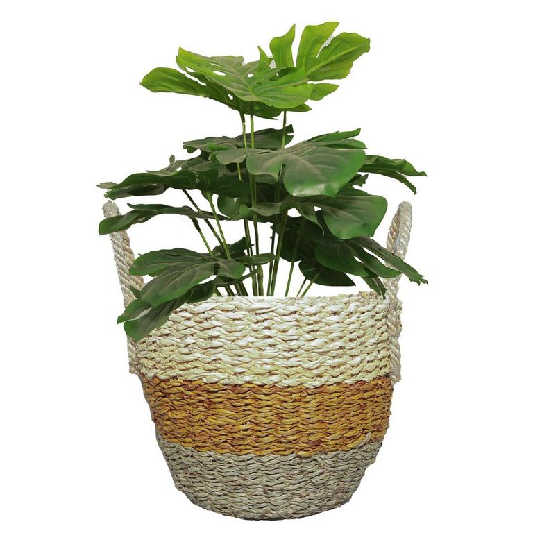 Canasto Decorativo Palma Hierba Marina 24X20 Cm