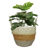 Canasto Decorativo Palma Hierba Marina 24X20 Cm