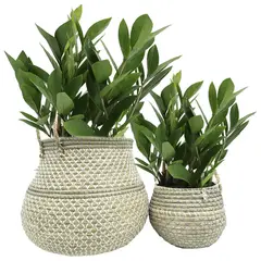 JUST HOME COLLECTION - Set 2 Canastos Marcona