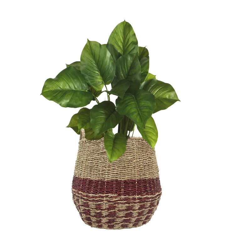 JUST HOME COLLECTION Canasto Organizador Multiuso 36X36 Cm Hierba Marina Hogar