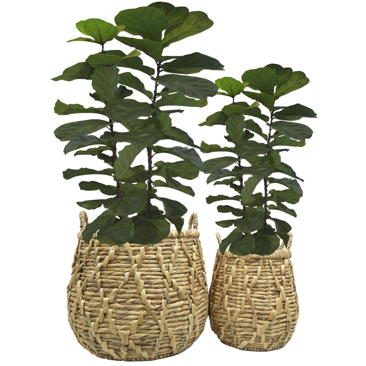 JUST HOME COLLECTION - Set 2 Canastos Catas