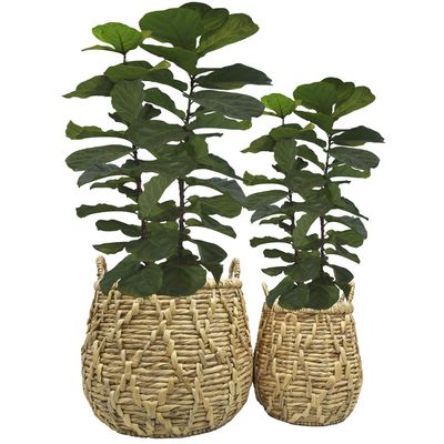 Imagen 2 del producto Set 2 Canastos Catas