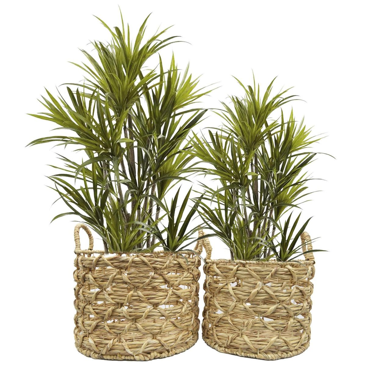 JUST HOME COLLECTION - Set 2 Canastos Tanaca