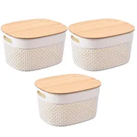 Set 3 Cajas 23x23.5x28 cm 6 l Blanco