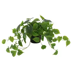 JUST HOME COLLECTION - Planta artificial Pothus 40 cm