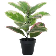 JUST HOME COLLECTION - Planta Artificial Gomero 43 cm Rosado