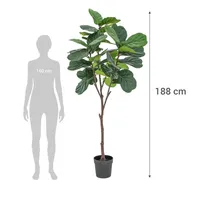Planta Artificial Lyrata 188 cm Verde