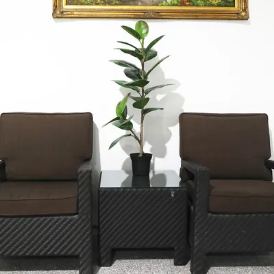 Imagen 2 del producto Planta Artificial Gomero 100 cm Verde