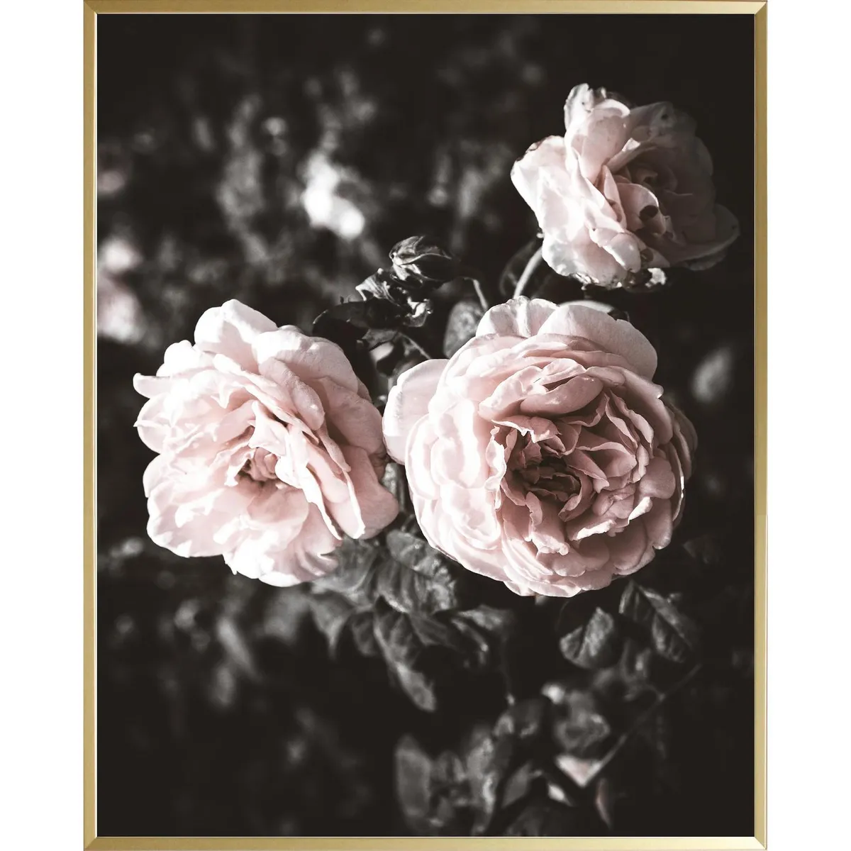 JUST HOME COLLECTION - Set 3 cuadros flores 40x50 cm