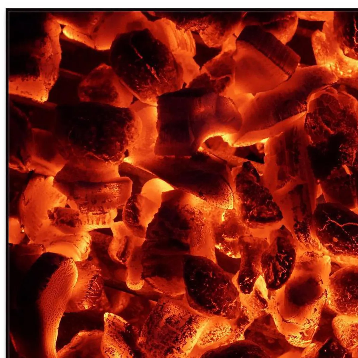 HOMY - Cuadro acrílico parrilla 2 50x70 cm