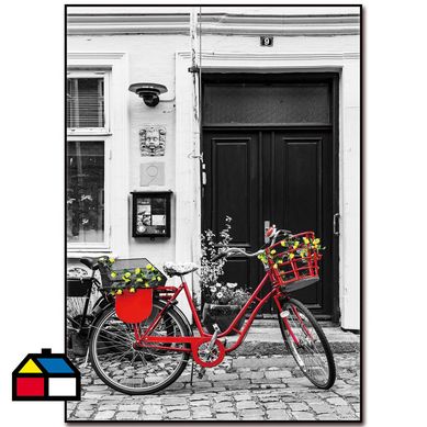 Cuadro acrlico bici 1 50x70 cm