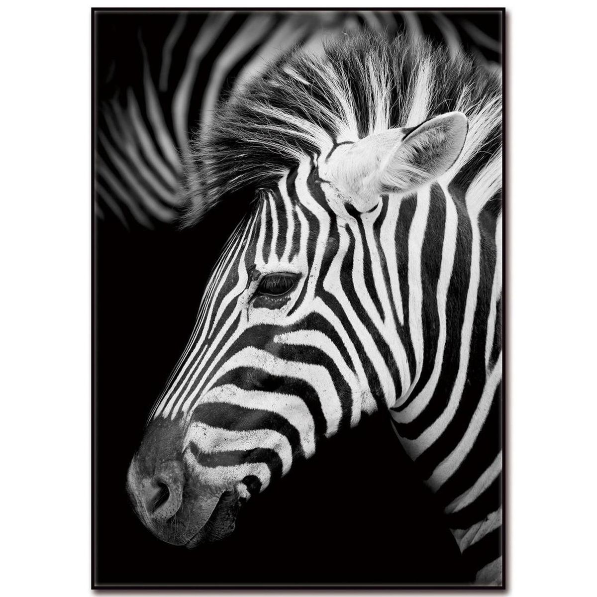HOMY - Cuadro acrílico cebra 2 50x70 cm