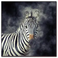 HOMY - Cuadro acrílico zebra 1 50x50 cm