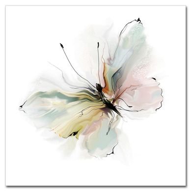 Cuadro acrlico mariposa 40x40 cm