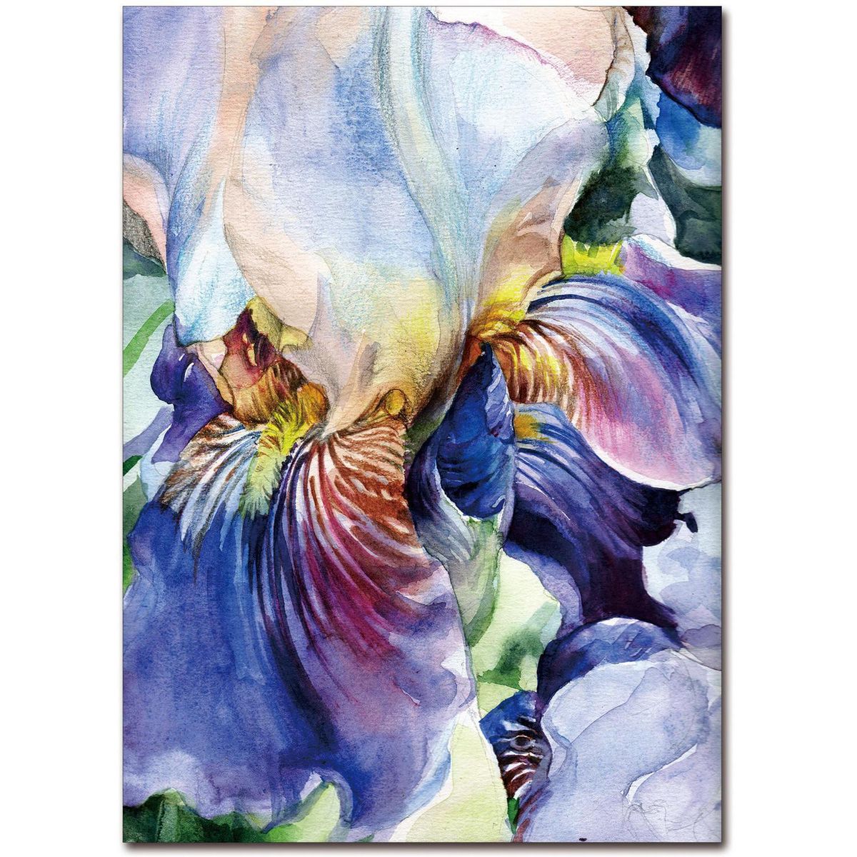 HOMY - Cuadro acrílico nature 5 50x70 cm