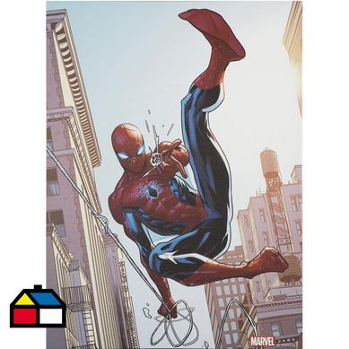 Canvas spiderman 57x77 cm