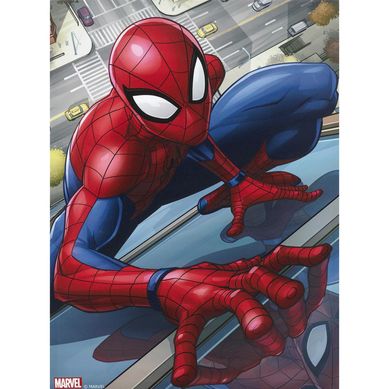 Canvas Marvel 10 57x77 cm