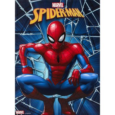 Canvas Marvel 4 57x77 cm
